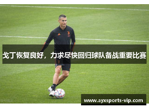 戈丁恢复良好，力求尽快回归球队备战重要比赛
